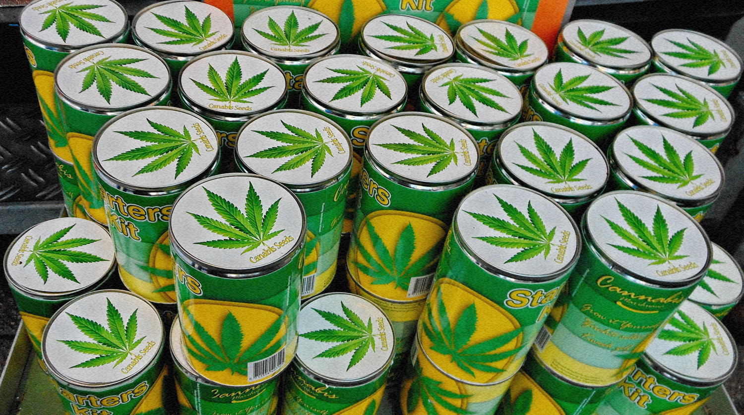 цена марихуаны в голландии